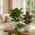3-Piece White Stoneware Planter Pot Set with Embossed Texture