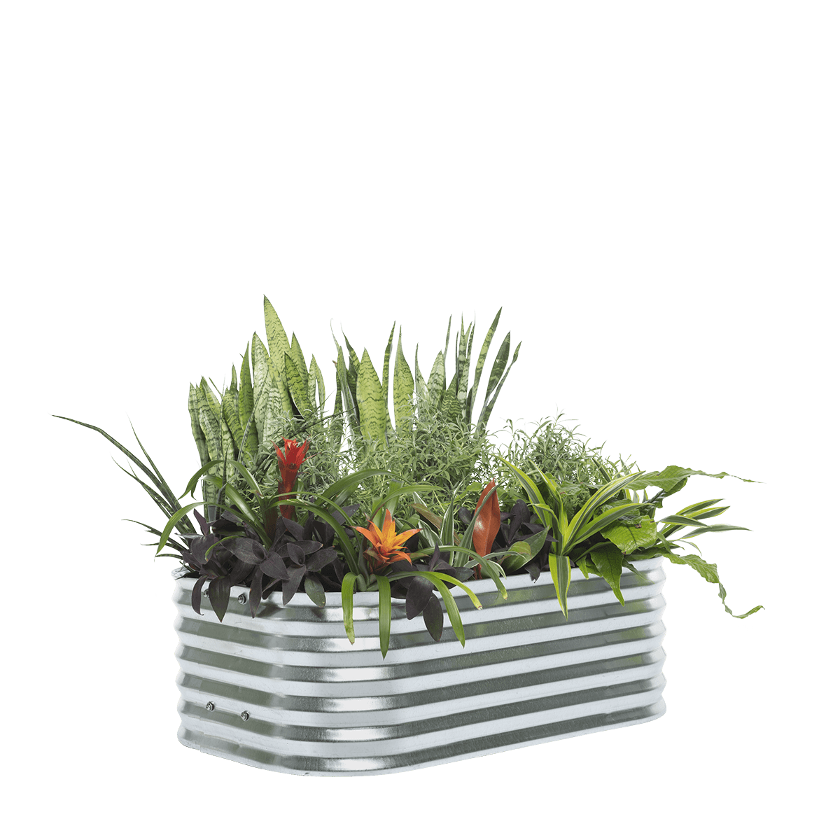 Discover — 12" High — Raised Garden Bed