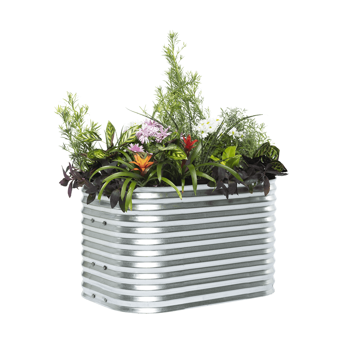 Discover — 22" High — Raised Garden Bed
