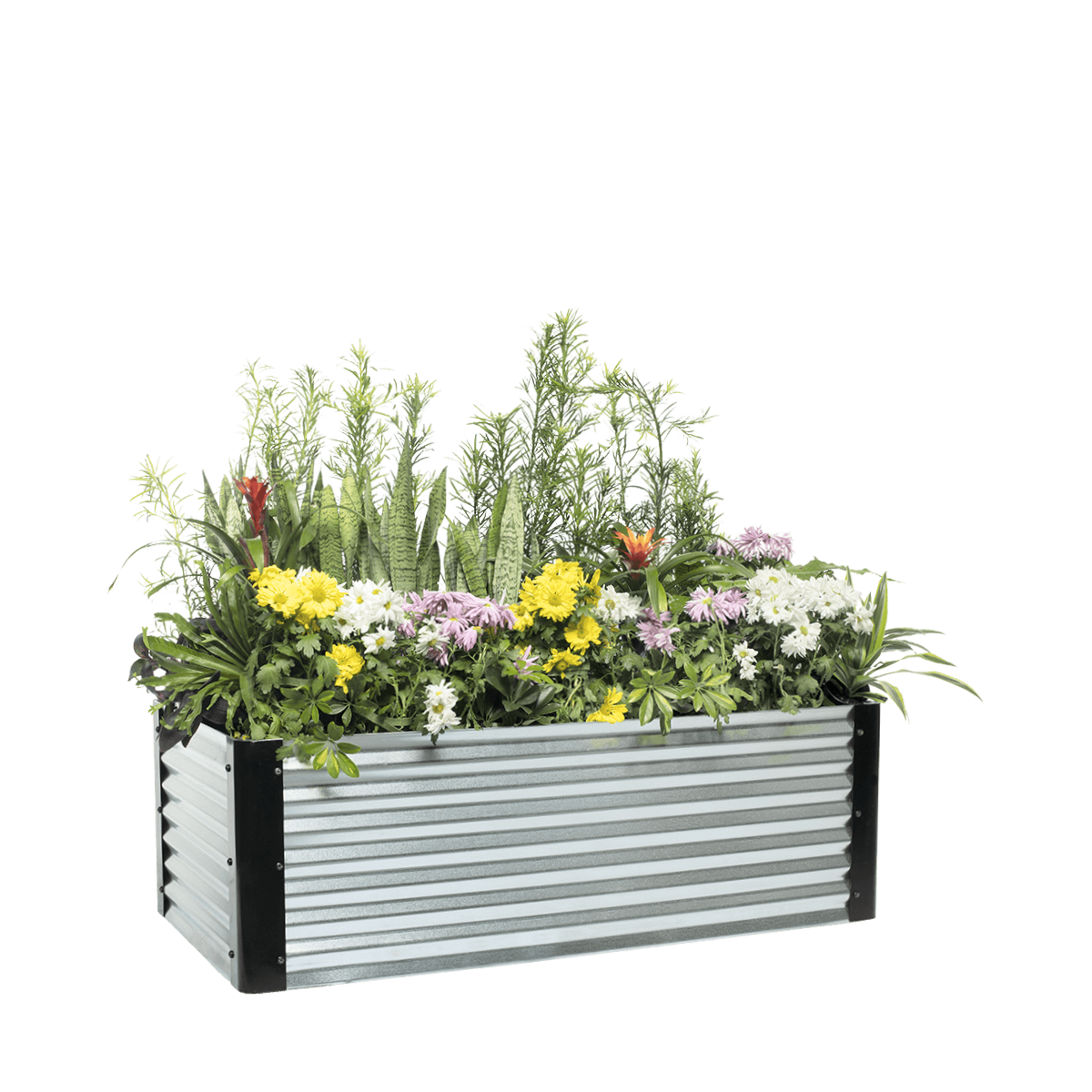 Oasis — 16" High — Raised Garden Bed
