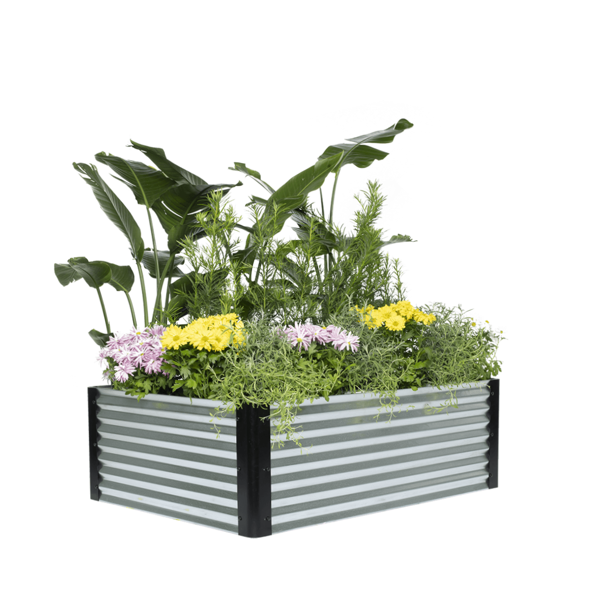 Oasis+ — 16" High — Raised Garden Bed
